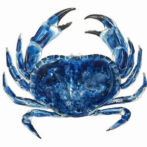 Meet your Posher, Beatrice